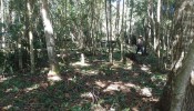 TERRENO A VENDA EM MARISCAL BOMBINHAS