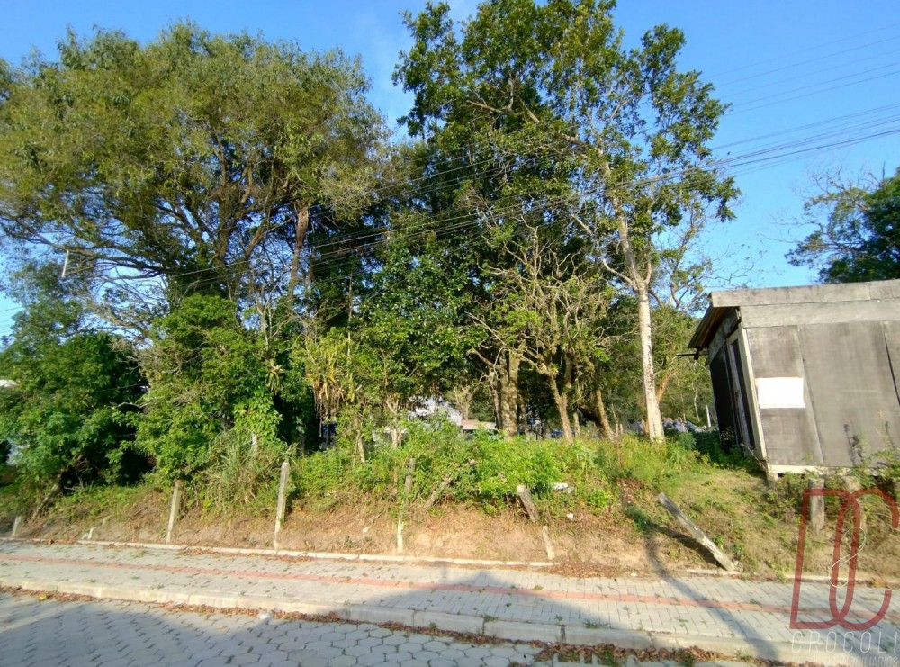 Terreno Z Amandio 294m2