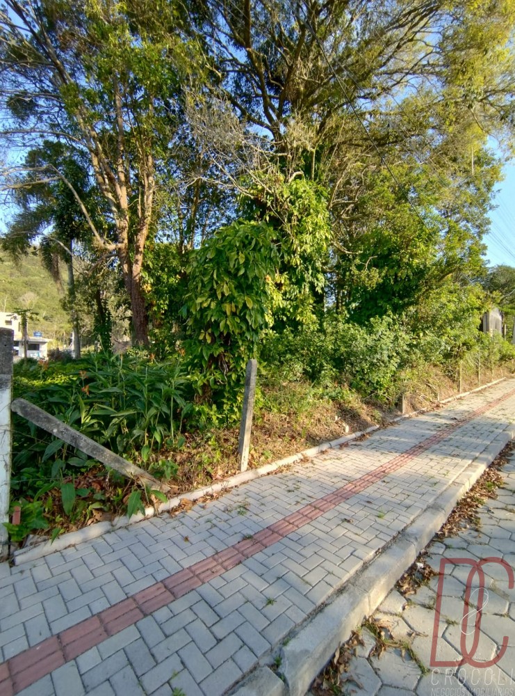 Terreno Z Amandio 294m2