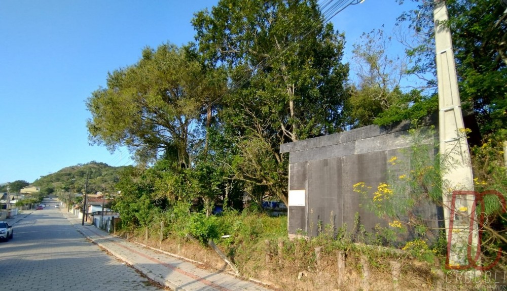 Terreno Z Amandio 294m2