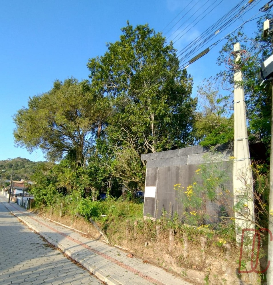 Terreno Z Amandio 294m2